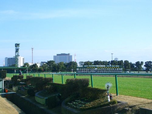 晴天なり@中京競馬場