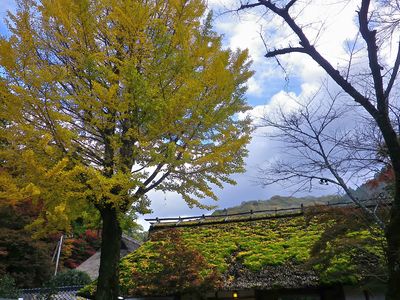 Toheityo20111120_21 080