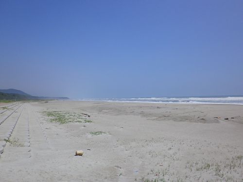Irago 039