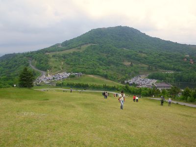 Shibazakura 034